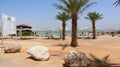 The deadsea beach