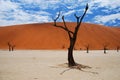 Deadvlei landscape. Sossusvlei. Namib-Naukluft Park. Namibia Royalty Free Stock Photo