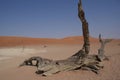 Deadvlei, Nambia