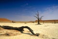 Deadvlei (Namib desert) Royalty Free Stock Photo