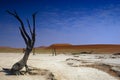 Deadvlei (Namib desert)