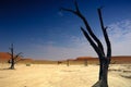 Deadvlei (Namib desert) Royalty Free Stock Photo