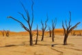 Deadvlei in the Namib Desert Royalty Free Stock Photo