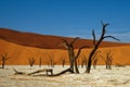 Deadvlei Namibia dead trees Royalty Free Stock Photo