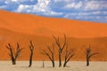 Deadvlei, orange dune with old acacia tree. African landscape from Sossusvlei, Namib desert, Namibia, Southern Africa. Red sand,