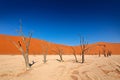 Deadvlei, orange dune with old acacia tree. African landscape from Sossusvlei, Namib desert, Namibia, Southern Africa. Red sand, Royalty Free Stock Photo