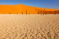 Deadvlei, orange dune with old acacia tree. African landscape from Sossusvlei, Namib desert, Namibia, Southern Africa. Red sand, Royalty Free Stock Photo