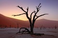 Deadvlei, orange dune with old acacia tree. African landscape from Sossusvlei, Namib desert, Namibia, Southern Africa. Red sand,