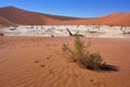 Deadvlei, Sossusvlei. Namibia Royalty Free Stock Photo