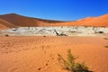 Deadvlei, Sossusvlei. Namibia Royalty Free Stock Photo