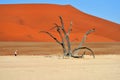 Deadvlei, Sossusvlei. Namibia