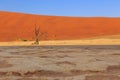 Deadvlei, white clay pan located inside the Namib-Naukluft Park in Namibia Royalty Free Stock Photo