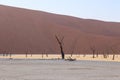 Deadvlei, white clay pan located inside the Namib-Naukluft Park in Namibia Royalty Free Stock Photo