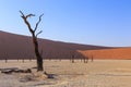 Deadvlei, white clay pan located inside the Namib-Naukluft Park in Namibia Royalty Free Stock Photo