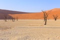 Deadvlei, white clay pan located inside the Namib-Naukluft Park in Namibia Royalty Free Stock Photo