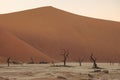 Deadvlei, white clay pan located inside the Namib-Naukluft Park in Namibia Royalty Free Stock Photo