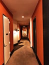 The deam hallways of the horror Royalty Free Stock Photo