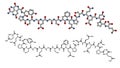 Deamidated gliadin (gluten) peptide fragment, chemical structure. Gliadin is one of the principal allergens responsible for celiac