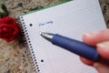 Dear Diary Pen Closeup Royalty Free Stock Photo