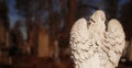 Death. Angel. Ancient statue on the cemetery. Pain, fear, the end concept Royalty Free Stock Photo