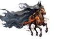 death on black horse illustration