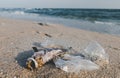Death fish and plastic garbage on the beach Royalty Free Stock Photo