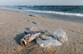 Death fish and plastic garbage on the beach Royalty Free Stock Photo