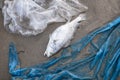 Death fish and plastic pollution environment Royalty Free Stock Photo