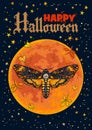 Death head hawkmoth on full Moon background. Halloween skull moth butterfly.