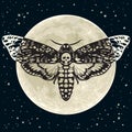 Death head hawkmoth on the full Moon and night sky background. Skull moth butterfly. Vector