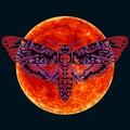 Death head hawkmoth on the full red Moon background. Skull moth butterfly. Vector