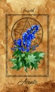 Death. Major Arcana tarot card with Aconite and magic seal