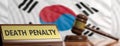 Death penalty in South Korea. Judge gavel on South Korea flag background. 3d illustration