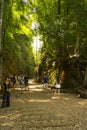 Old railway at Hellfire pass Kanchanaburi