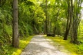 Old railway at Hellfire pass Kanchanaburi