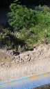 death road bolivia steep cliff old andes scary dangerous Royalty Free Stock Photo