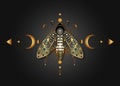 The death\'s head moth on Sacred Geometry. Night mystical butterfly with a skull and Moon Phases. Gold luxury icon Royalty Free Stock Photo