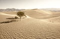 Death Valley Royalty Free Stock Photo