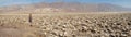 Death Valley Devils Golf Course - Panorama