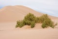 Death Valley dunes Royalty Free Stock Photo