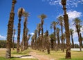 Death Valley Furnace Creek Royalty Free Stock Photo