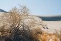 Death Valley, the hottest place on Earth. Eureka Sand Dunes, California