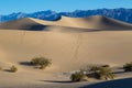 Death Valley morning at the Mesquite Flat Sand Dunes Royalty Free Stock Photo