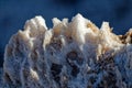 Close up of Dried up Bed of a Devil`s Golf Course, Death Valley National Park, California. Geology, Texture, Surface Royalty Free Stock Photo