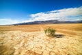 Death Valley National Park Dry Desert Floor