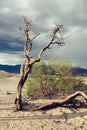 Death Valley panorama Royalty Free Stock Photo