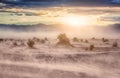 Death Valley panorama Royalty Free Stock Photo