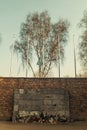 The Death Wall, Auschwitz-Birkenau concentration camp, Poland Royalty Free Stock Photo