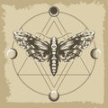 Deaths Head Hawk Moth in Esoteric Astrological Circle Retro Illustration