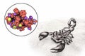 Deathstalker scorpion and molecule of scorpion chlorotoxin